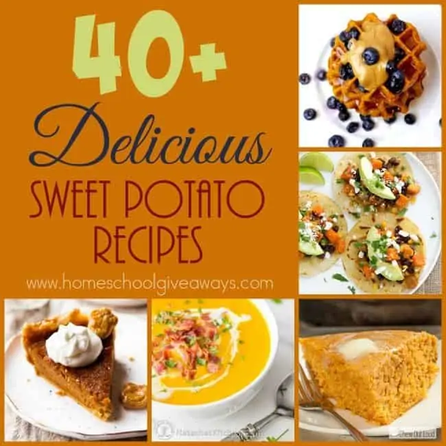 40+ Delicious Sweet Potato Recipes