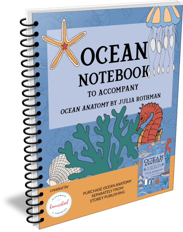 Ocean Notebook workbook cover