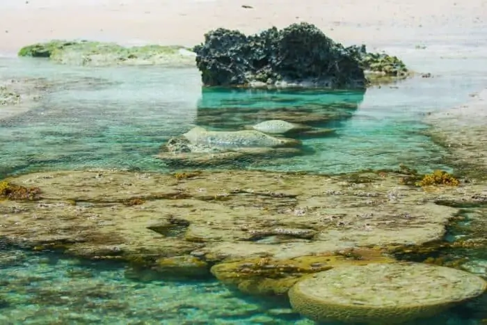 An island in the middle of a body of water