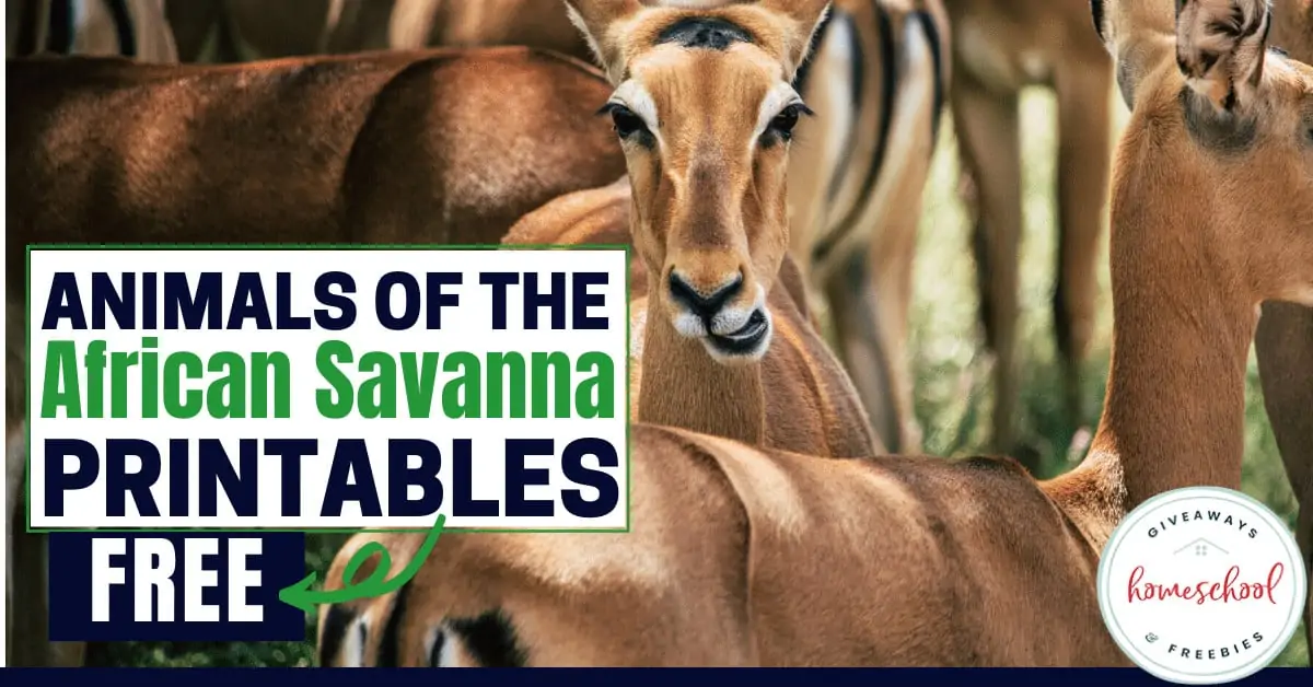 Free Animals of the African Savanna Printables