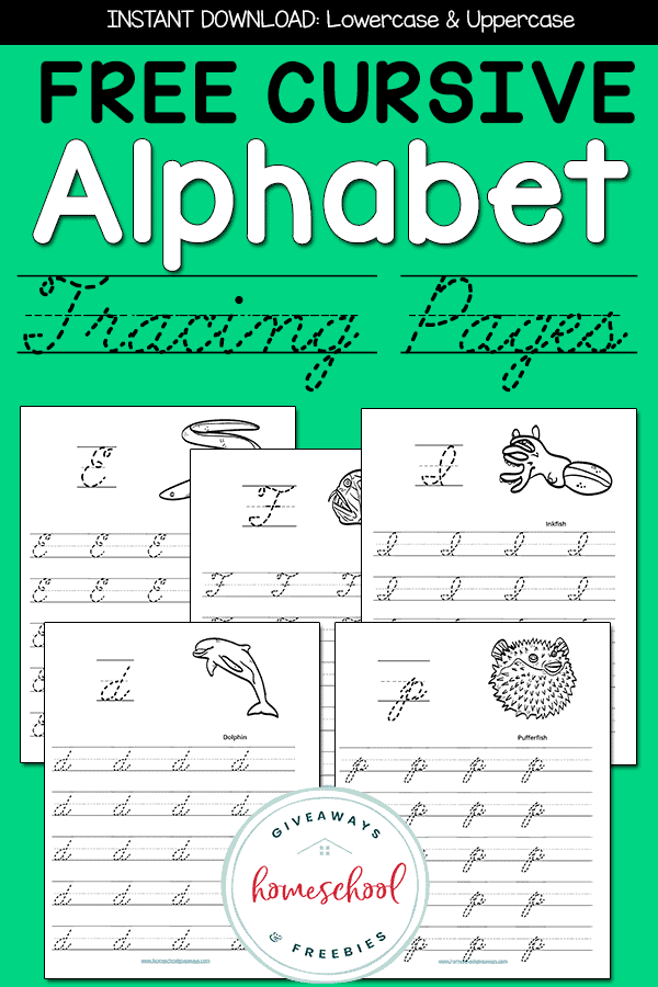 examples of cursive alphabet tracing pages for kids with text on a green background