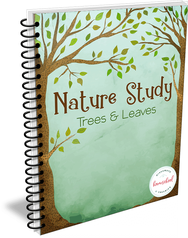 Nature Study Trees & Leaves workbook cover