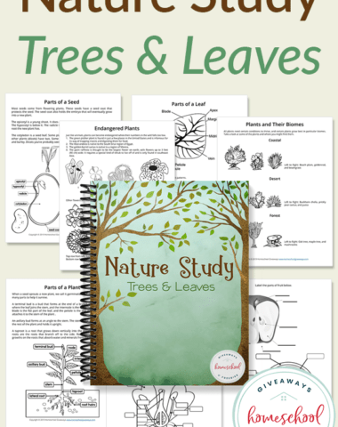 nature study book with worksheets