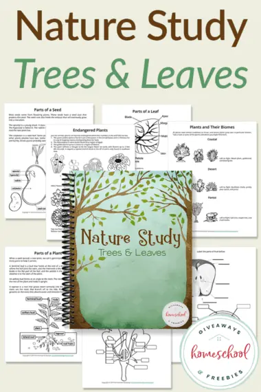 nature study book with worksheets