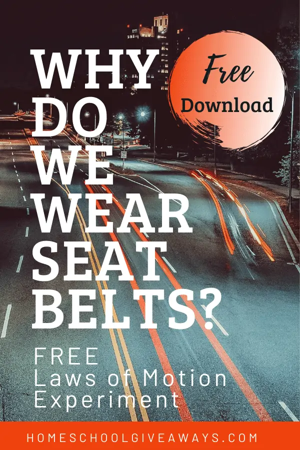 Why Do We Wear Seatbelts?