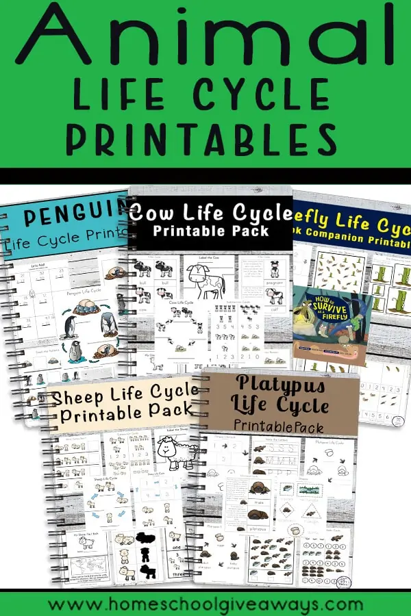 Animal Life Cycle Printables