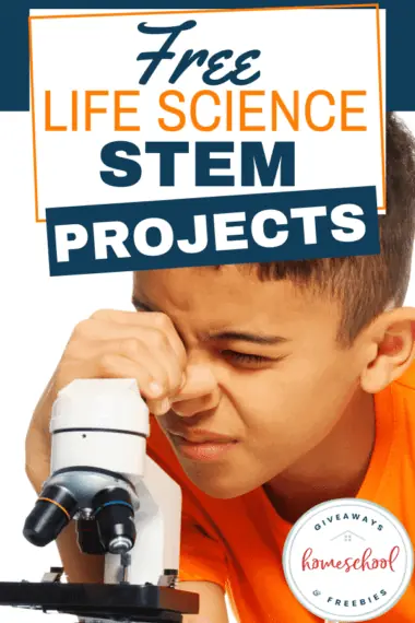 FREE Life Science STEM Projects