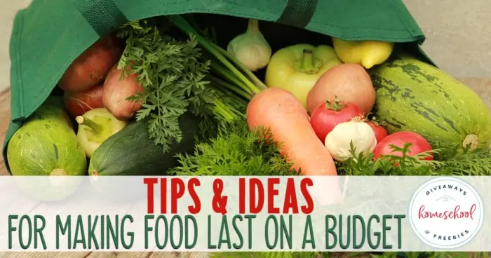 dumped grocery bag with overlay - Tips & Ideas for Making Food Last on a Budget