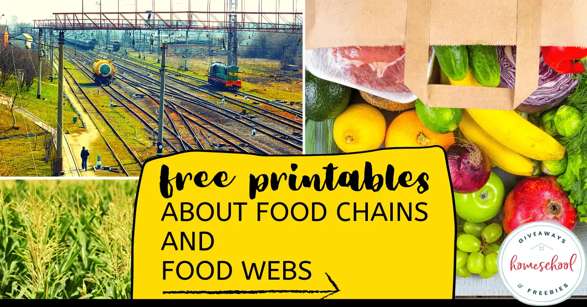 Free Printables About Food Chains and Food Webs text with image collage of fresh produce grown