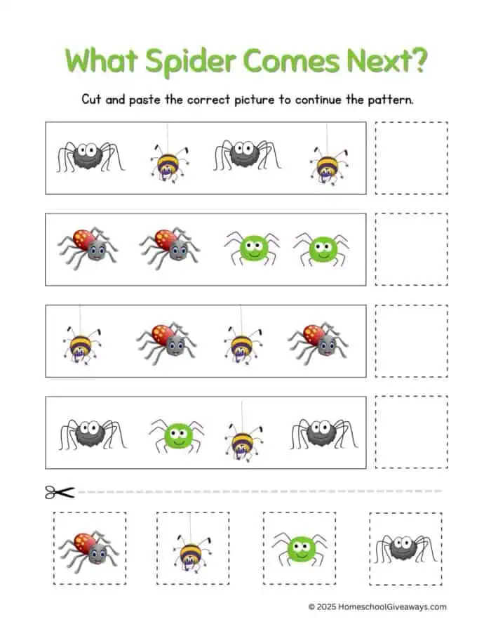 Math patterns spider worksheet has different spiders to place in the correct pattern