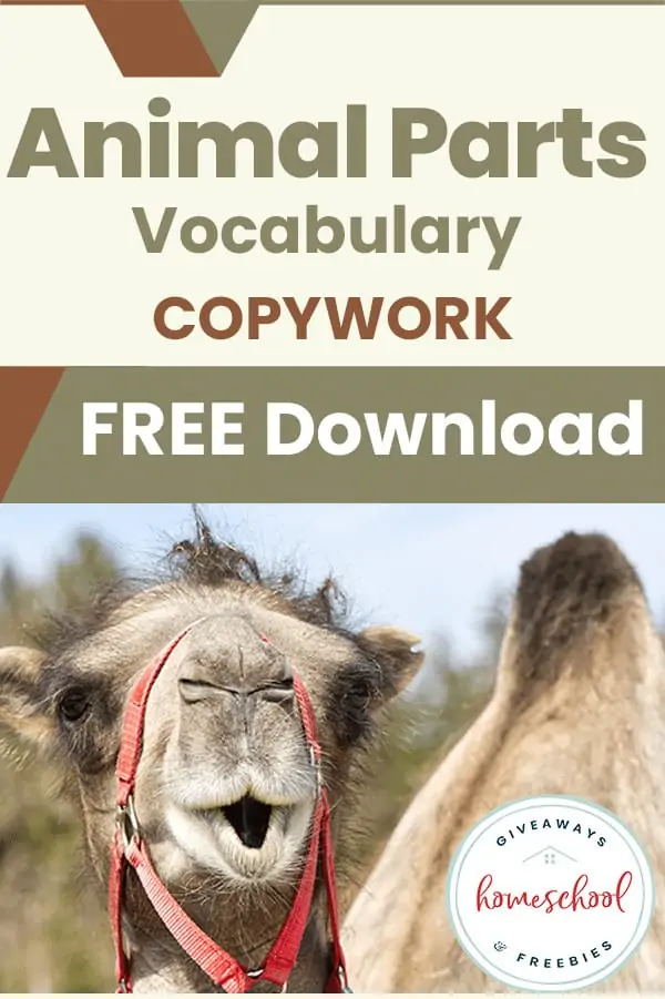 Animal Parts Vocabulary Copywork Free Download text with image of a camel