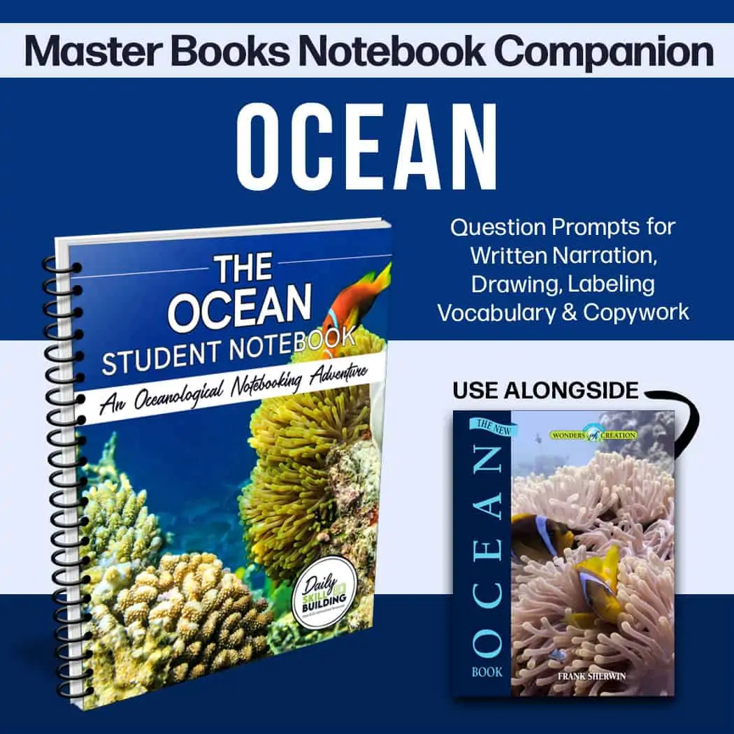 The Ocean Notebook by Daily Skill Building and The New Ocean Book by Master Books