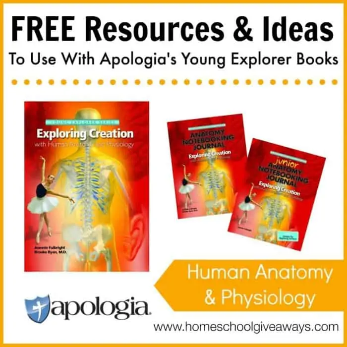Free resources & Ideas to Use with Apologia\'s Younger Explorer Books text with image example of workbooks