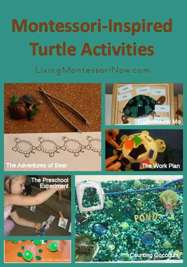Montessori-Inspired Turtle Activities text with image collage of turtle learning activities