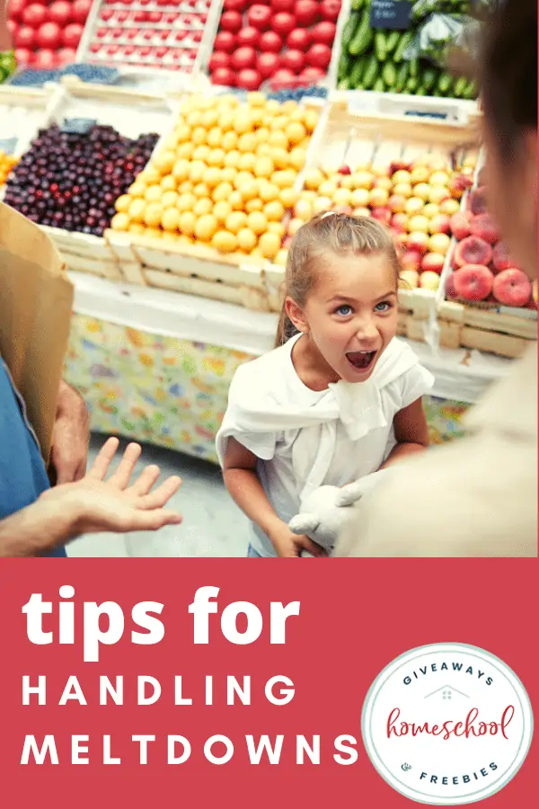 Tips for Handling Meltdowns text with image of little girl screaming in a grocery store