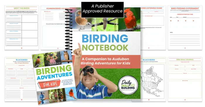examples of worksheets and book with text Birding Notebook 