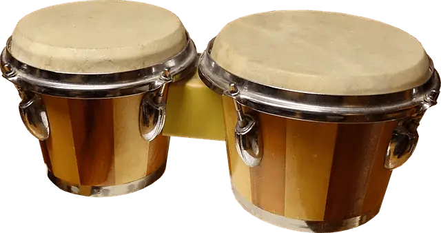 close up image cut out of bongos