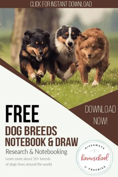 Free Dog Breeds Notebook & Draw text with image of dogs running in the grass