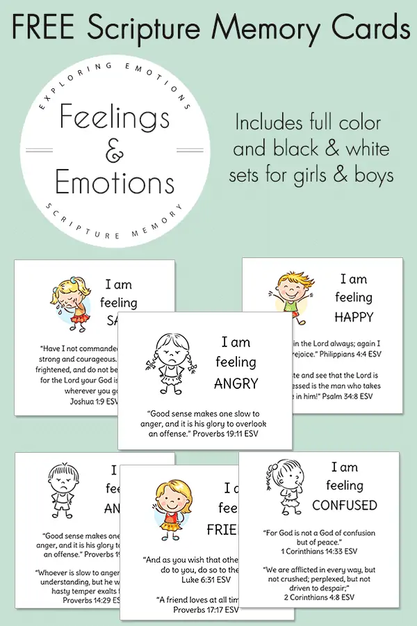 Feelings & Emotions Cards text with image examples of cards