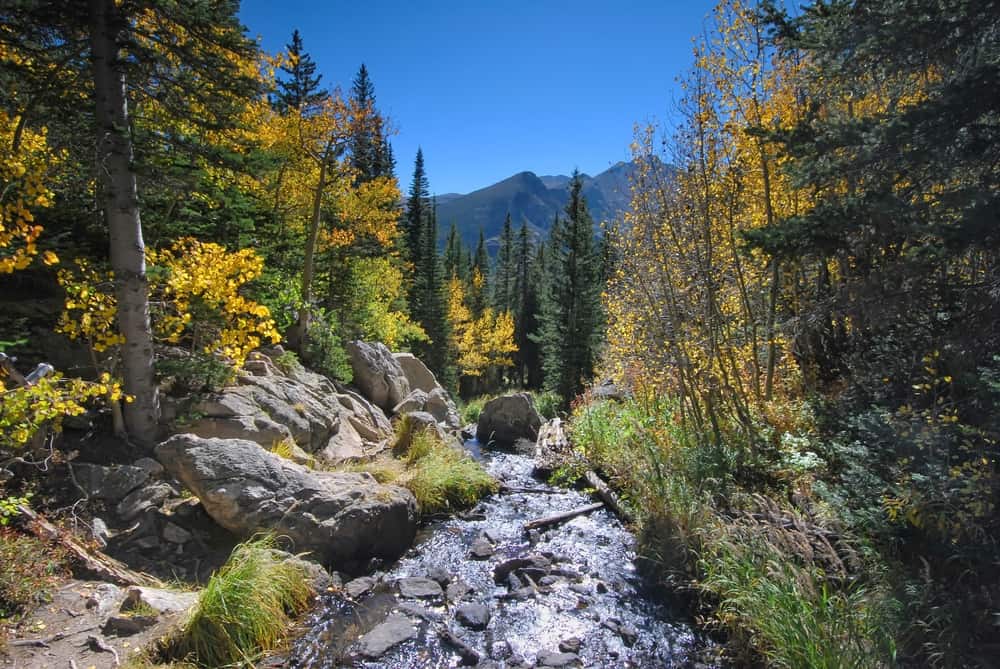 Mountain stream in Rocky Mountain National Park in Colorado