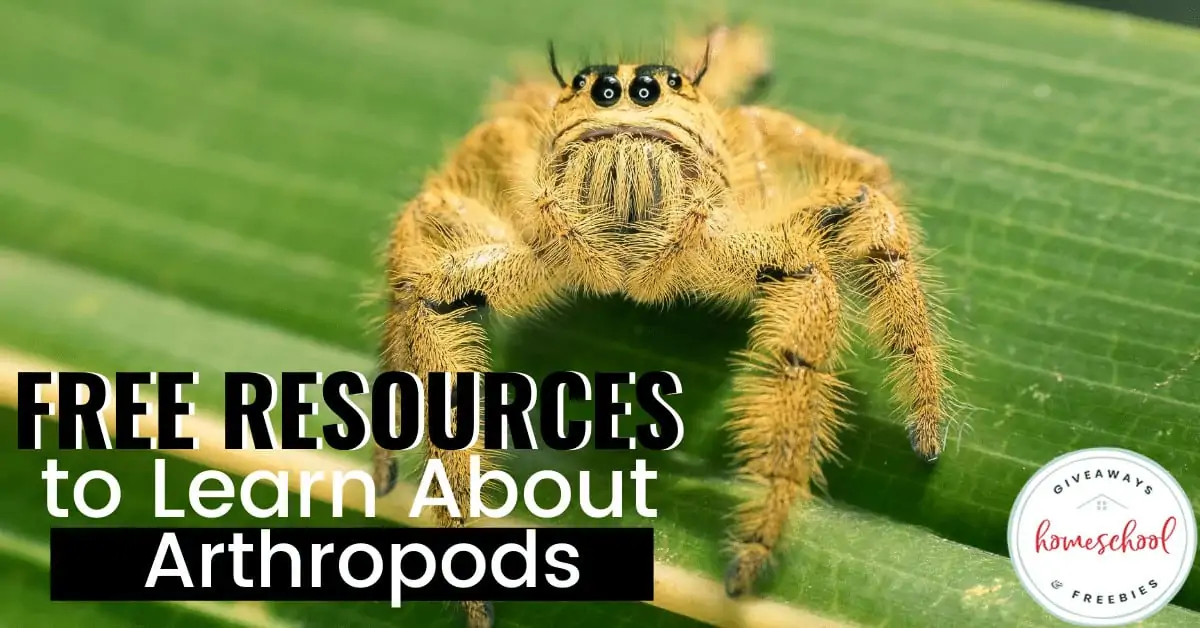 Free Resources to Learn About Arthropods