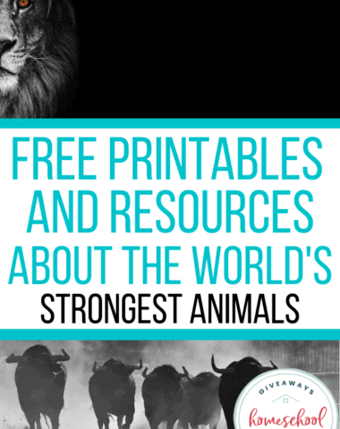Free Printables and Resources About the World's Strongest Animals. #stronganimalresources #stronganimalprintables #worldsstrongestanimals