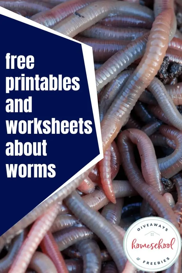 Free Printables and Worksheets About Worms