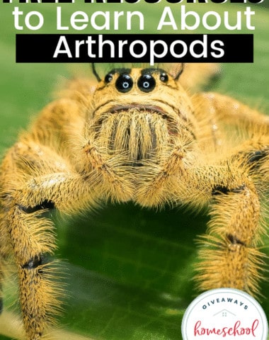 Free Resources to Learn About Arthropods. #arthropodsprintables #arthropodsresources