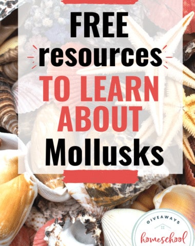 Free Resources to Learn About Mollusks. #molluskprintables #molluskresources #molluscprintables #molluscresources #molluscaprintables #molluscaresources