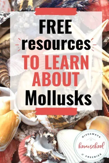 Free Resources to Learn About Mollusks