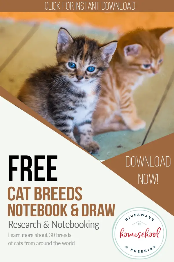 Free Cat Breeds Notebook & Draw text with image of two different kittens