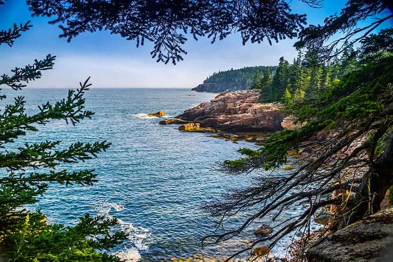 The Ocean Path Trail in Acadia National Park, Maine