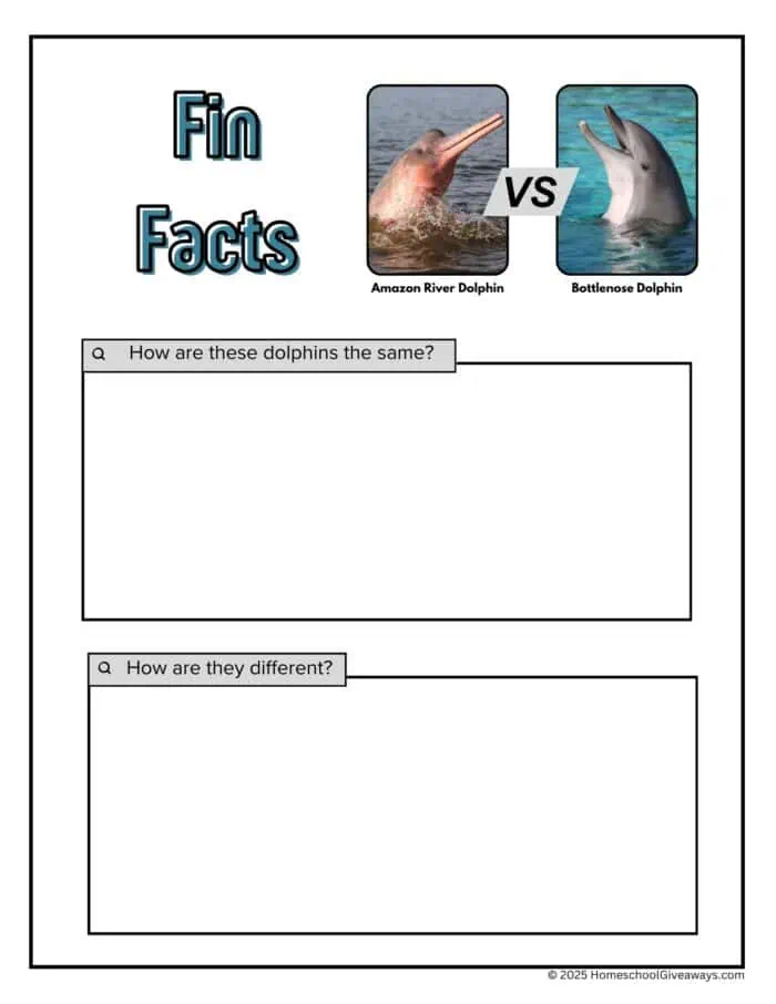 compare and contrast Amazon River dolphin and bottlenose dolphin with images of both