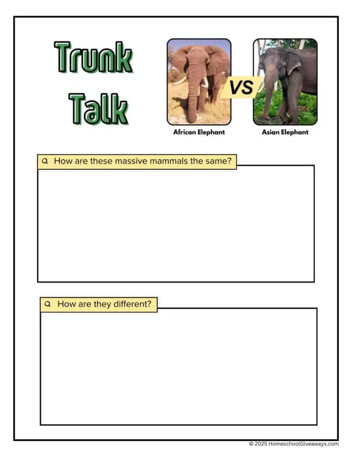 Compare and contrast Asian elephant and African elephant worksheet.  With images of both