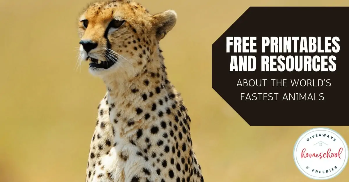 Free Printables and Resources About the World\'s Fastest Animals text with an image of a cheetah