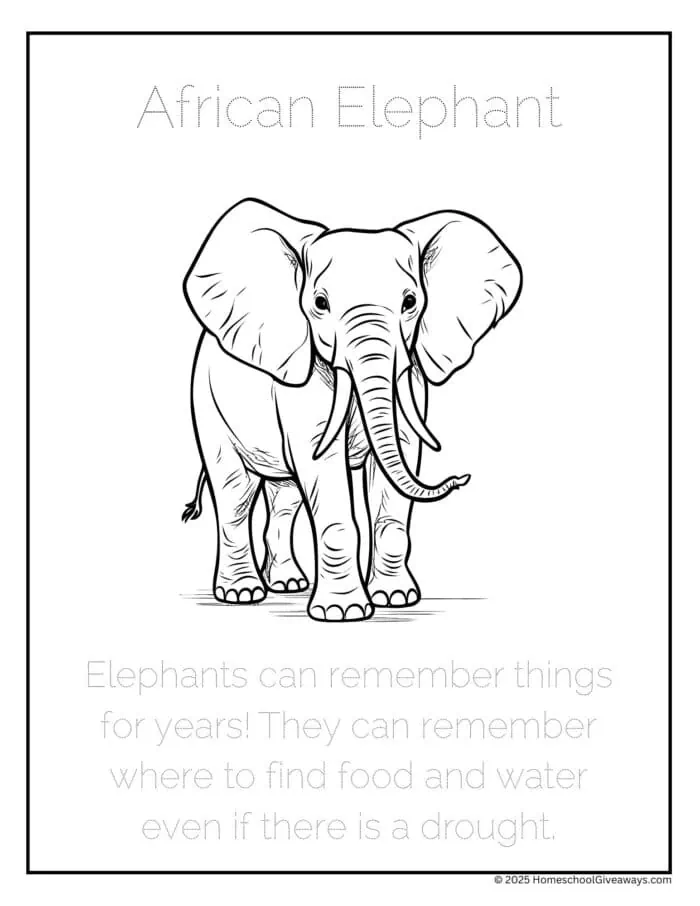 Asian elephant coloring page with outline of elephant and phrase to trace