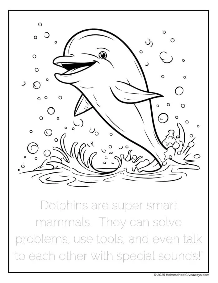dolphin coloring page with dolphin smiling