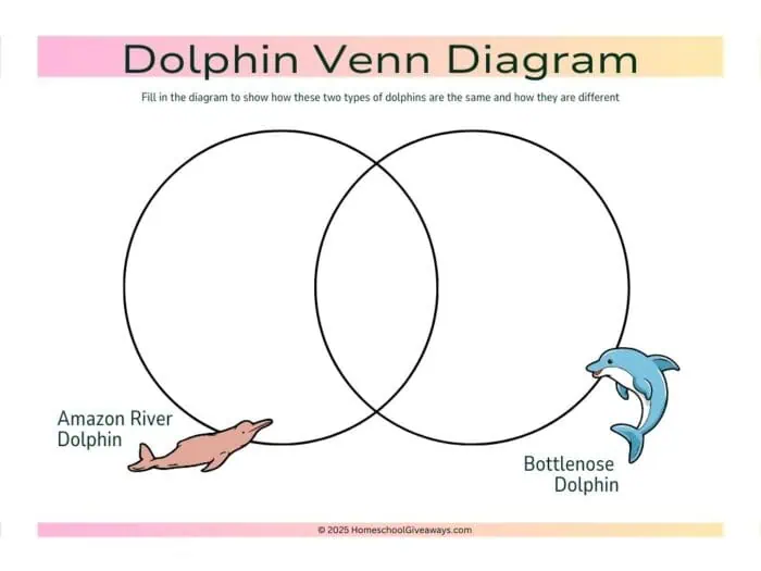 dolphin venn diagram with graphic of amazon river and bottlenose dolphins