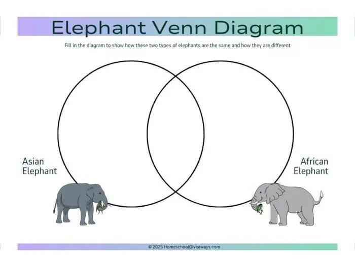 Venn Diagram