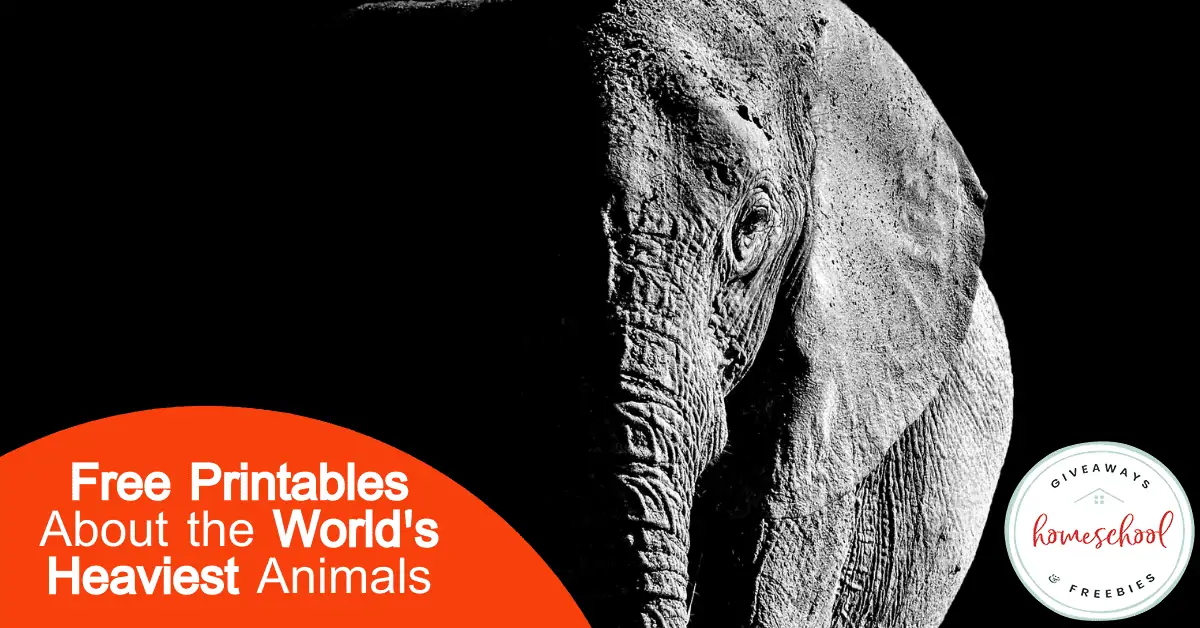 Free Printables About the World\'s Heaviest Animals text with black and white image of a elephant