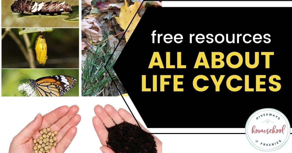 Free Resources All About Life Cycles text with image collage of a caterpillar turning into a butterfly