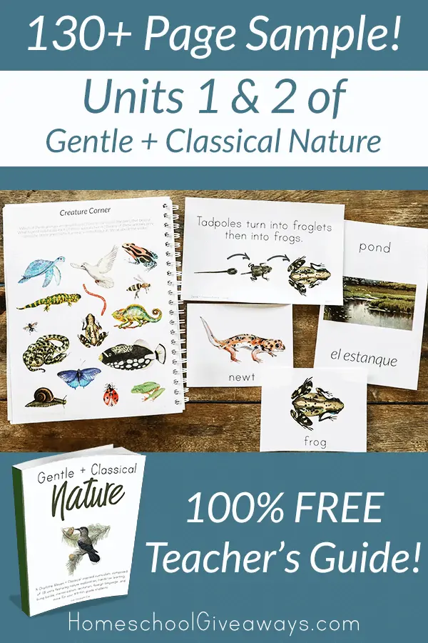 nature workbook and image examples of pages from the book