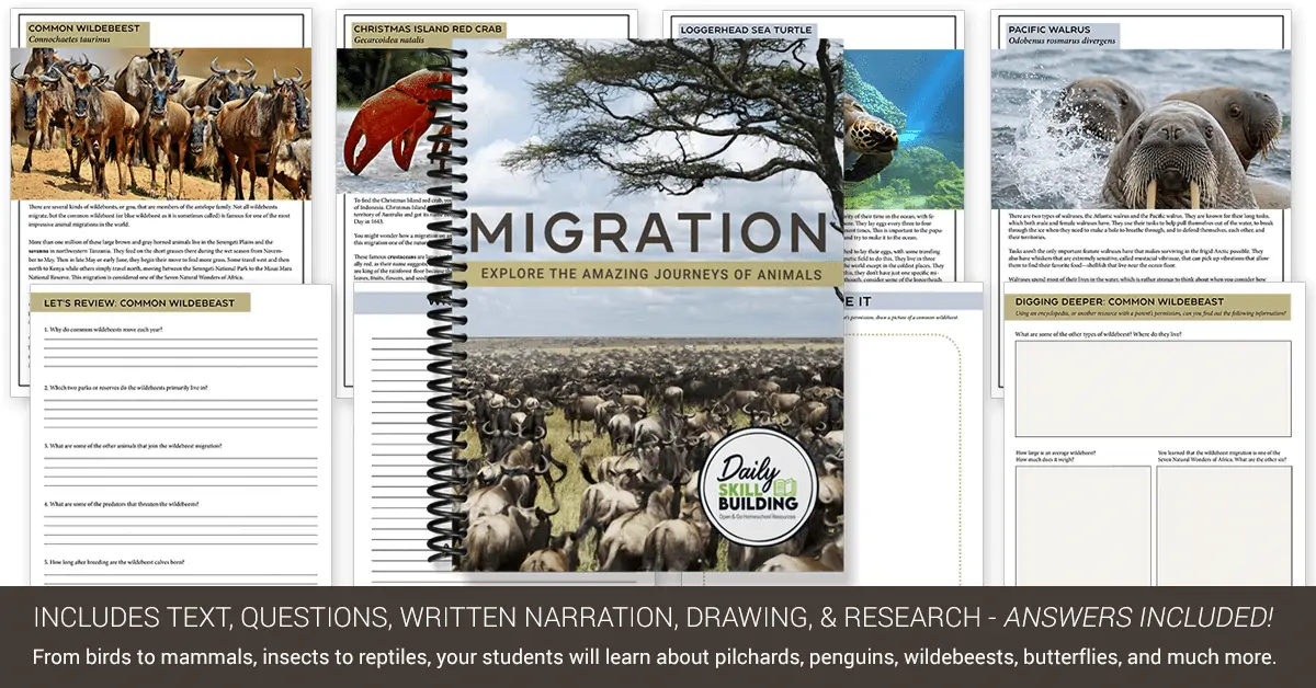 Migration workbook cover with background image examples of pages from the workbook