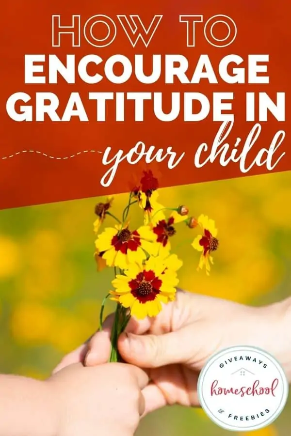 How to Encourage Gratitude in Your Child text with image of a hand holding a bundle of flowers