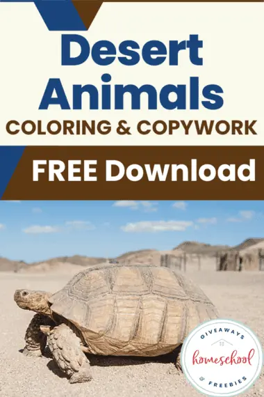 Desert Animals Coloring & Copywork Free Download text with image background of a turtle close up