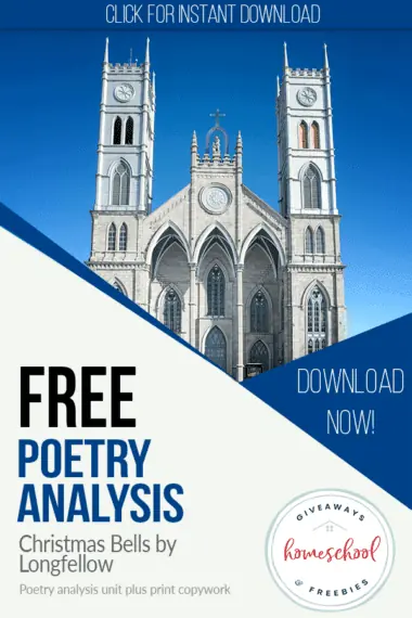 Free Poetry Analysis