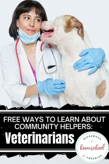 Free Ways to Learn About Community Helpers – Veterinarians