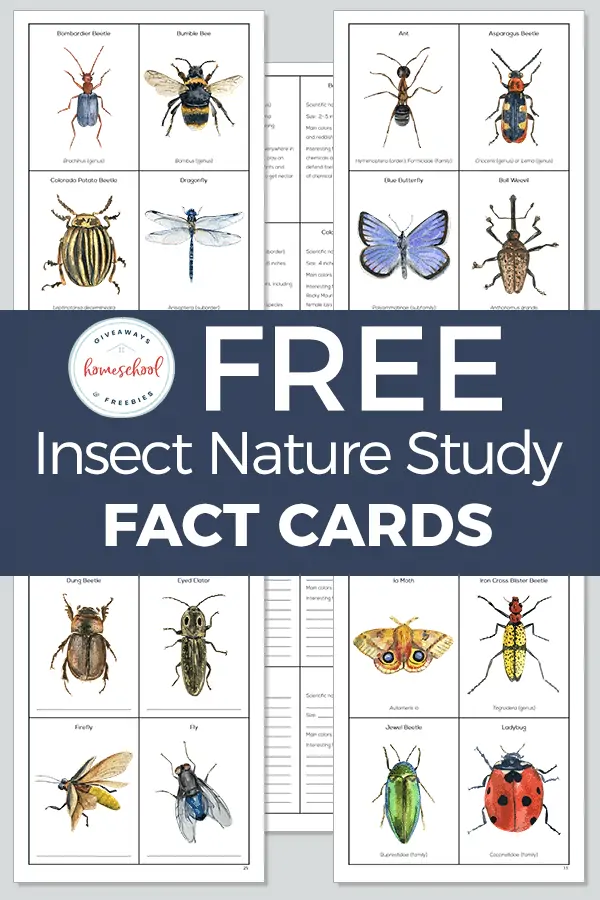 Insects, Free Full-Text