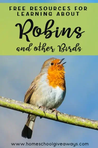 Free Resources for Learning about Robins