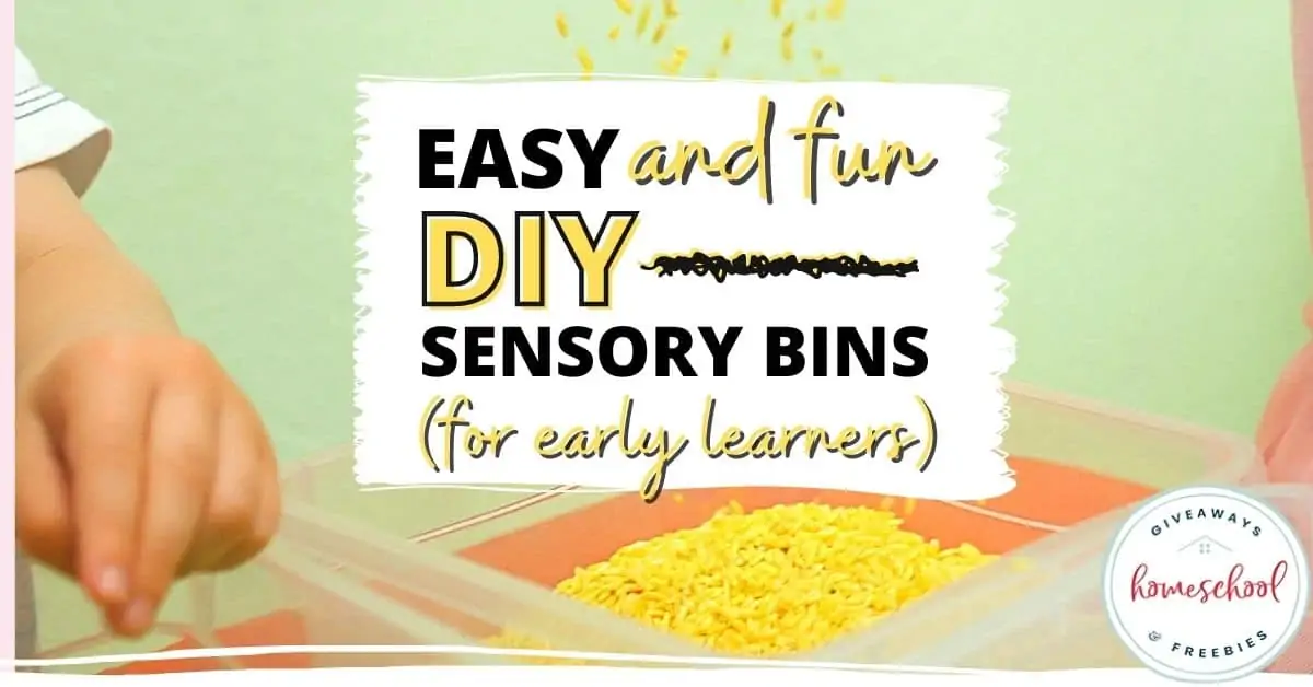 Easy and Fun DIY Sensory Bins for Early Learners